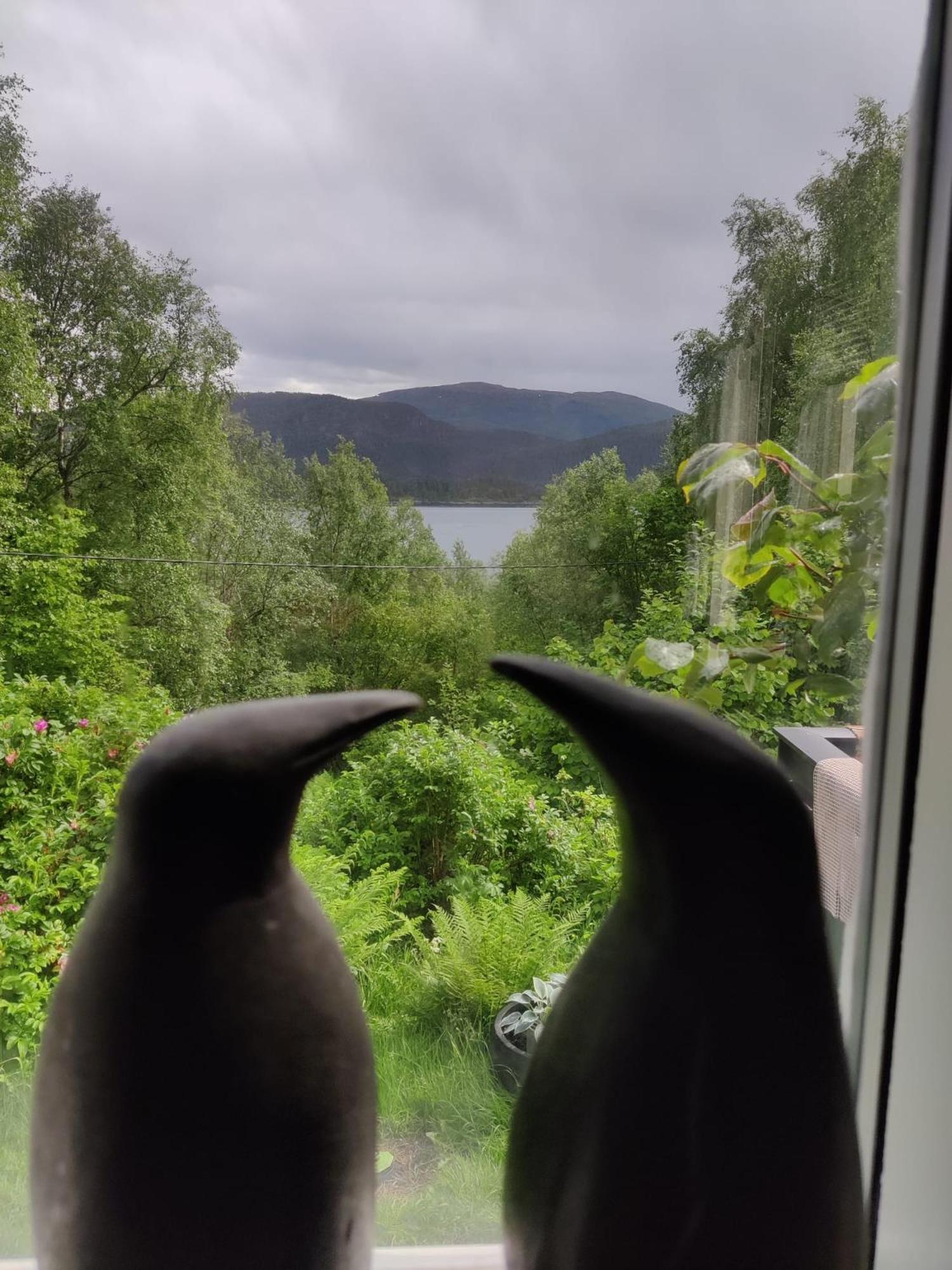 SkodjeFjord Peace别墅 外观 照片